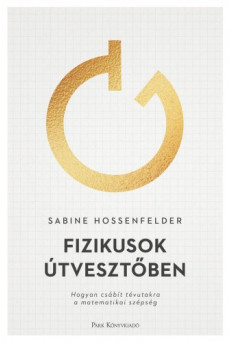 Fizikusok útvesztőben (e-könyv)