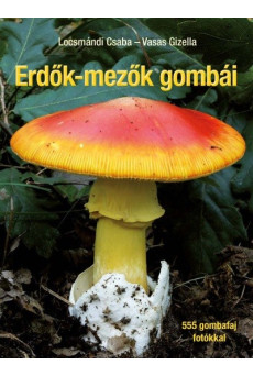 Erdők-mezők gombái