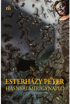 Hasnyálmirigynapló