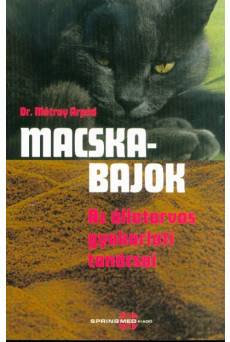 Macskabajok - Az állatorvos gyakorlati tanácsai