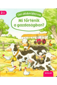 Mi történik a gazdaságban? /Első ablakos könyvem