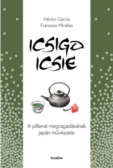 Icsigo-icsie - A pillanat megragadásának művészete