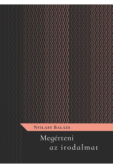 Megérteni az irodalmat