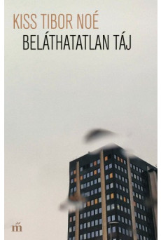 Beláthatatlan táj (e-könyv)