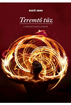 Teremtő tűz - A férfimotiváció könyve