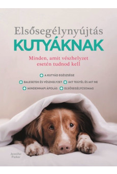 Elsősegélynyújtás kutyáknak