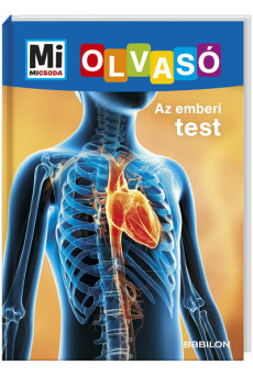 Az emberi test