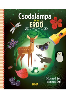 Csodalámpa és az ERDŐ