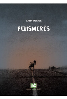 Felismerés