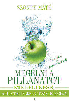 Megélni a pillanatot (e-könyv)