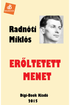 Erőltetett menet (e-könyv)
