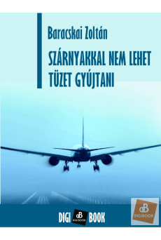 Szárnyakkal nem lehet tüzet gyújtani (e-könyv)