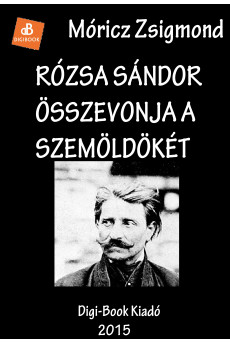 Rózsa Sándor összevonja a szemöldökét (e-könyv)