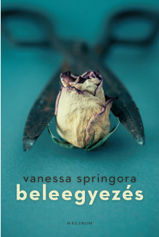 Beleegyezés