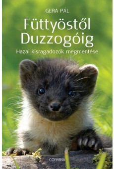 Füttyöstől Duzzogóig - Hazai kisragadozók megmentése