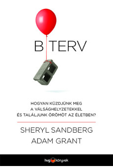 B-terv (e-könyv)