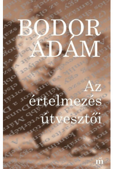 Az értelmezés útvesztői