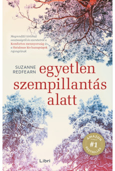 Egyetlen szempillantás alatt (e-könyv)