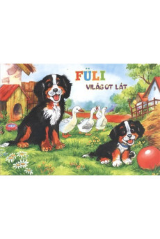Füli világot lát /Leporelló