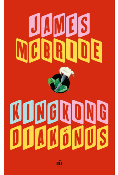 King Kong diakónus (e-könyv)