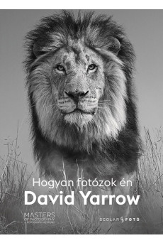 Hogyan fotózok én - David Yarrow - A fotográfia mesterei