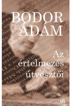 Az értelmezés útvesztői (e-könyv)