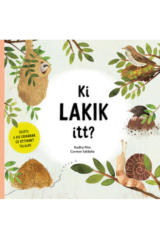 Ki lakik itt? - Segíts a kis csigának új otthont találni!