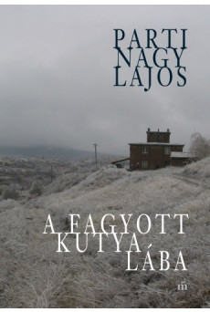 A fagyott kutya lába (e-könyv)