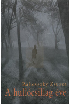 A hullócsillag éve (e-könyv)