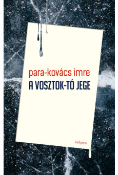 A Vosztok-tó jege