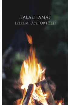 Lelkem pásztortüzei (e-könyv)