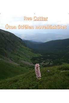 Úton útfélen (e-könyv)