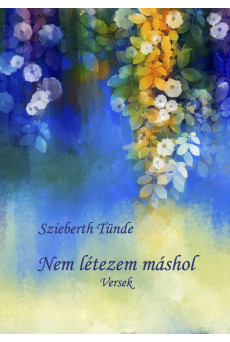 Nem létezem máshol (e-könyv)