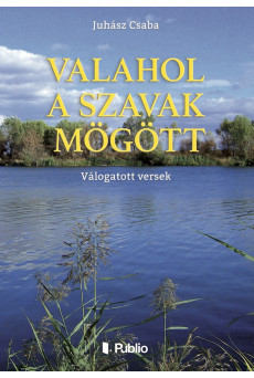 VALAHOL A SZAVAK MÖGÖTT (e-könyv)