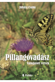 PILLANGÓVADÁSZ (e-könyv)