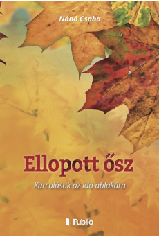 Ellopott ősz (e-könyv)