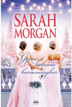 Gyere hozzám karácsonykor! (e-könyv)