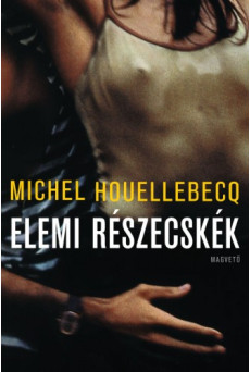 Elemi részecskék (e-könyv)