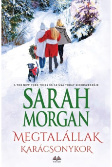 Megtalállak Karácsonykor §K