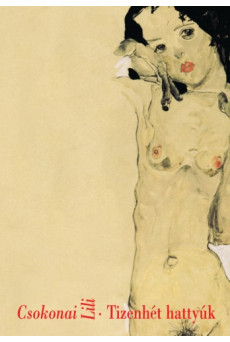 Tizenhét hattyúk (e-könyv)