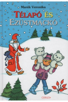 Télapó és ezüstmackó (2. kiadás) §K
