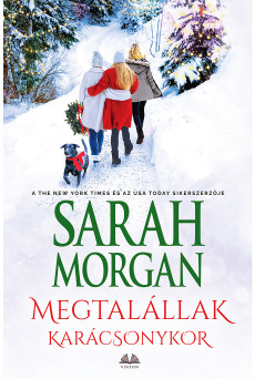 Megtalállak karácsonykor (e-könyv)
