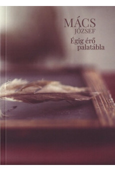 Égig érő palatábla