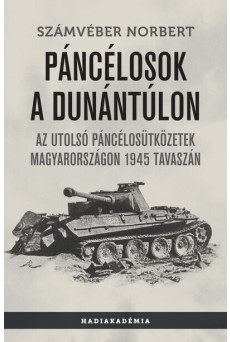 Páncélosok a Dunántúlon - Az utolsó páncélosütközetek Magyarországon 1945 tavaszán