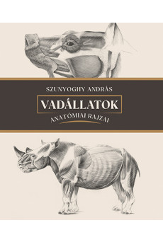 Vadállatok anatómiai rajzai