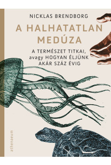 A halhatatlan medúza (e-könyv)