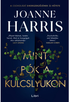 Mint pók a kulcslyukon (e-könyv)