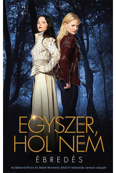 Egyszer volt, hol nem volt (e-könyv)