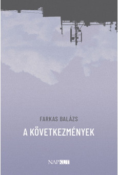 A következmények (e-könyv)