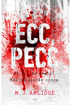 Ecc, pecc (e-könyv)